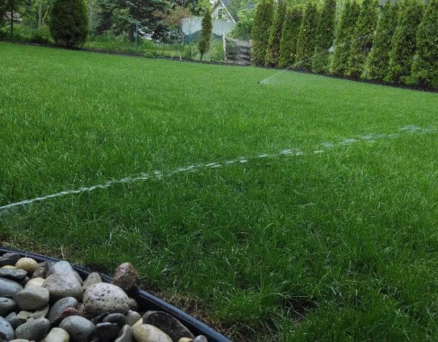 Green City Landscape and Lawn Care LLC 6