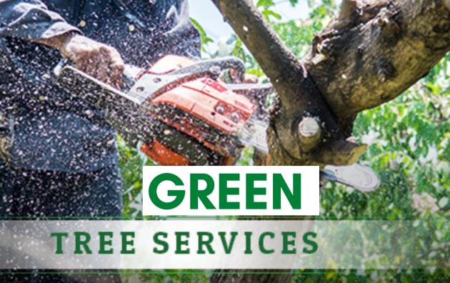 Green Tree Service of Allen 6