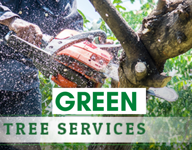 Green Tree Service of Allen 6