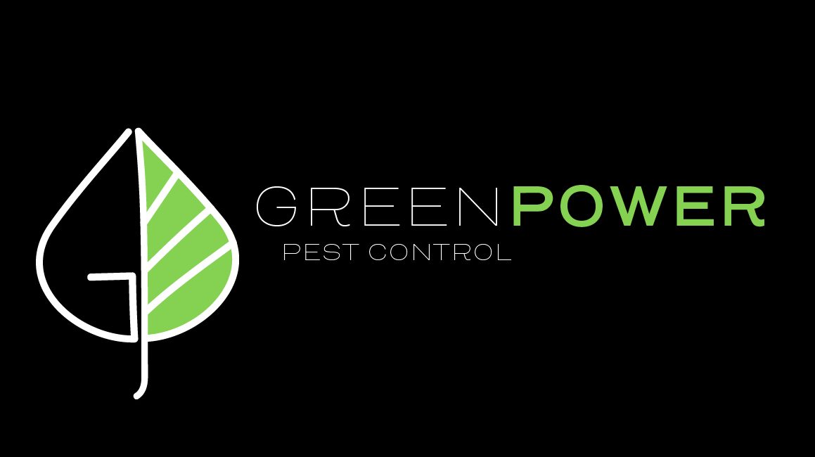 GreenPower Pest Control 4