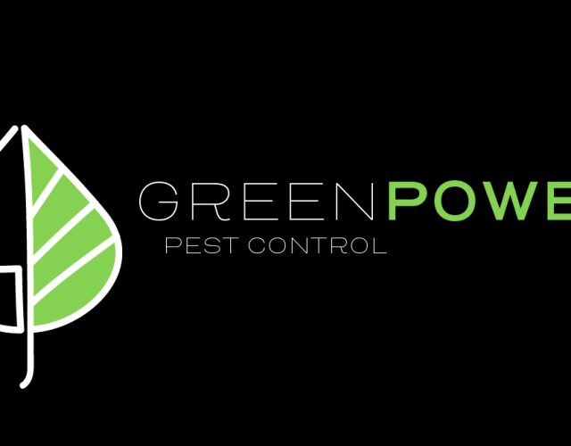 GreenPower Pest Control 4