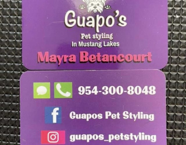 Guapo’s Pet Styling 5