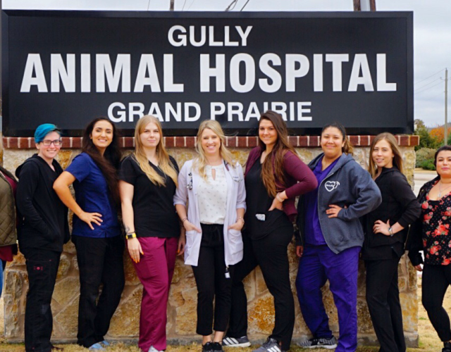 Gully Animal Hospital | Grand Prairie 3