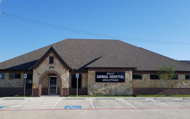 Gully Animal Hospital of Midlothian 4