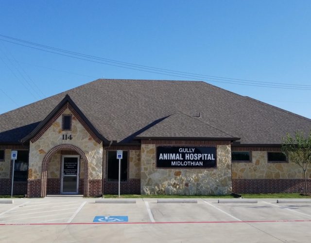 Gully Animal Hospital of Midlothian 4