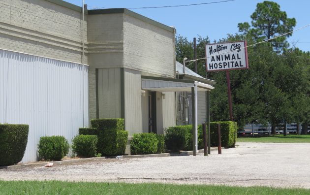 Haltom City Animal Hospital 5