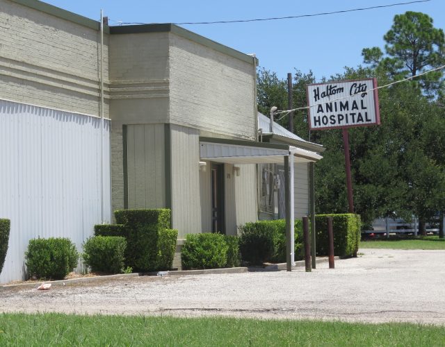 Haltom City Animal Hospital 5