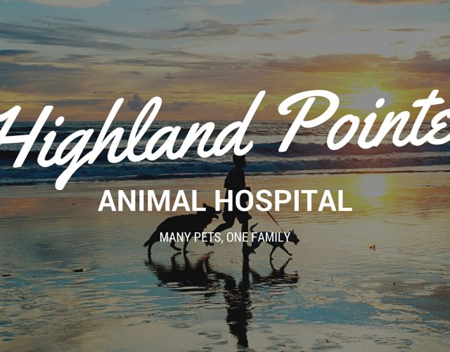 Highland Pointe Animal Hospital 5