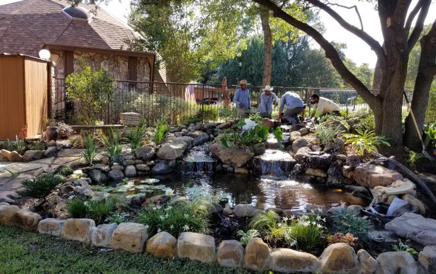 Ideal Landscape Design Services 6