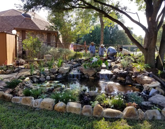 Ideal Landscape Design Services 6