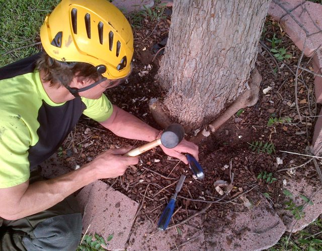 Integrity Tree Care 3