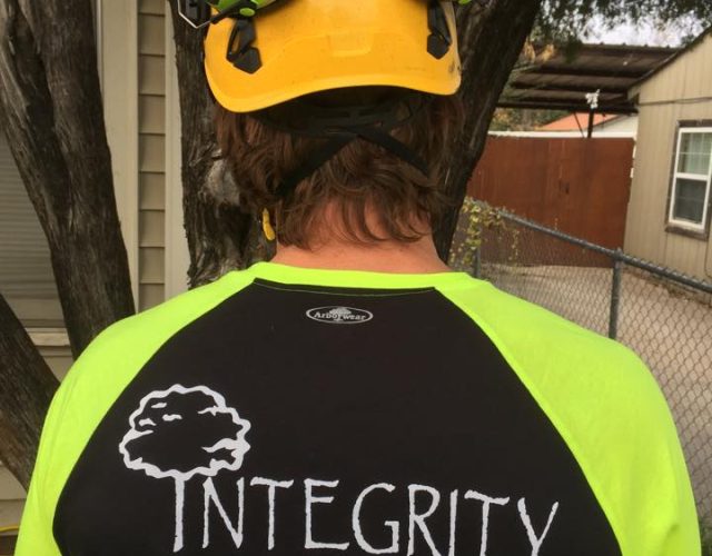 Integrity Tree Care 4