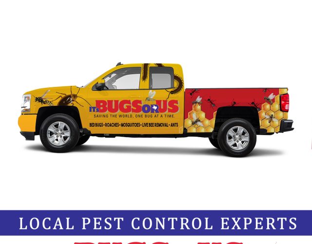 It’s Bugs Or Us Pest Control – Weatherford 2