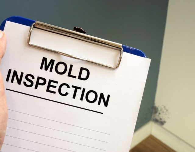 Jambo’s Mold Removal & Remediation Richardson TX 3