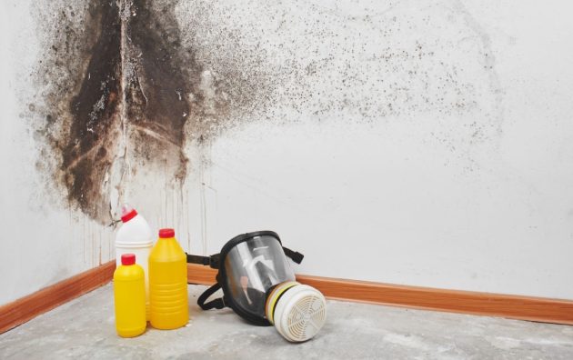 Jambo’s Mold Removal & Remediation Richardson TX 6