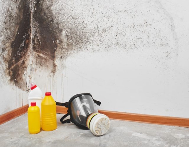 Jambo’s Mold Removal & Remediation Richardson TX 6