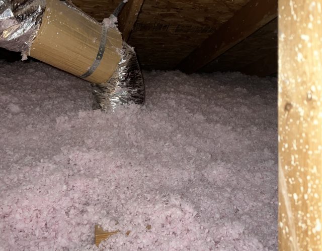 Kozy Insulation 3