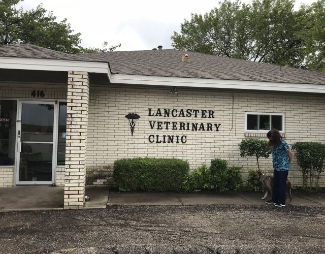 Lancaster Veterinary Clinic 4