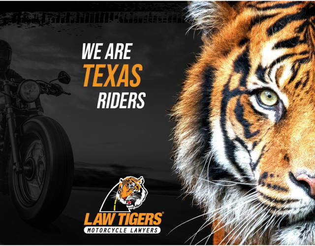 Law Tigers 6