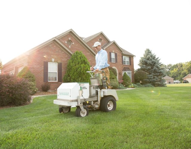 Lawn Doctor of Denton 4