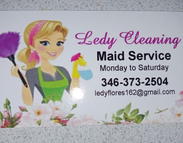 Ledy Cleaning Sevices 4