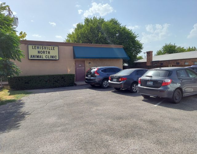 Lewisville North Animal Clinic PC 2