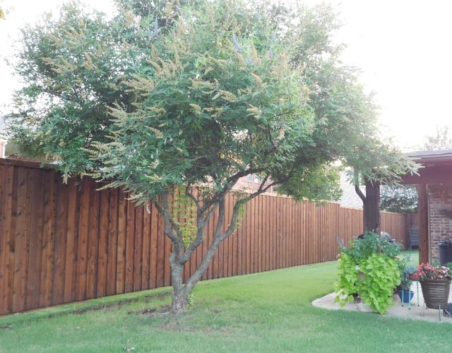 Liberty Fence and Patio LLC 6