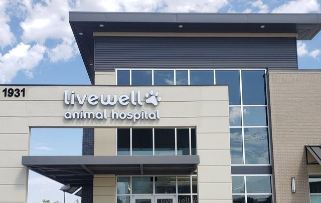 Livewell Animal Hospital of Little Elm 5