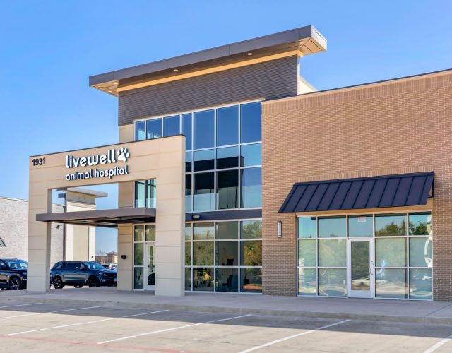 Livewell Animal Hospital of Little Elm 6