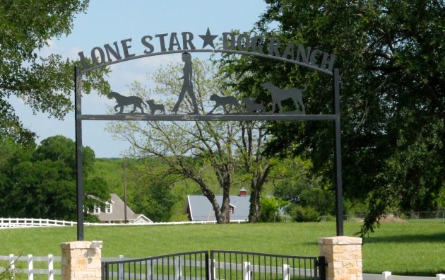 Lone Star Dog Ranch 6