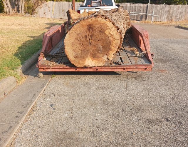 LUMBERJACK MAX FIREWOOD & TREE SERVICES 4