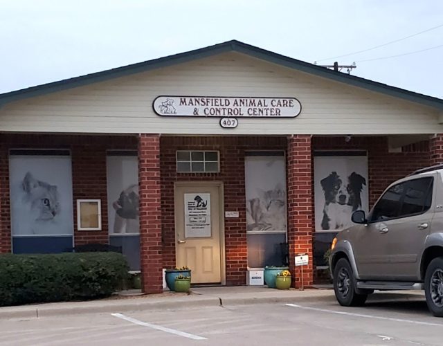 Mansfield Animal Care and Control 5