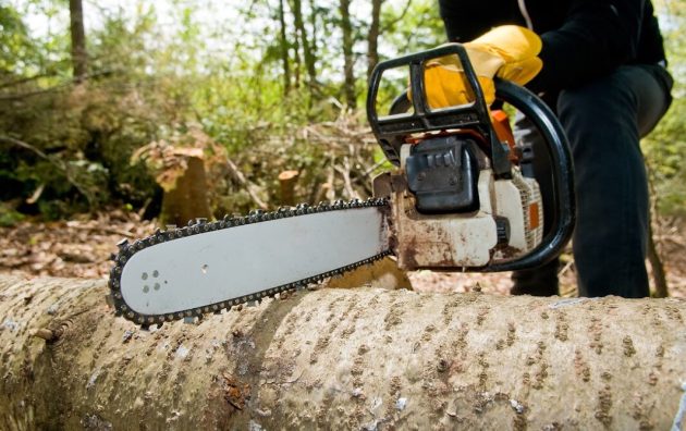 Mansfield Tree Service & Stump Grinding 5