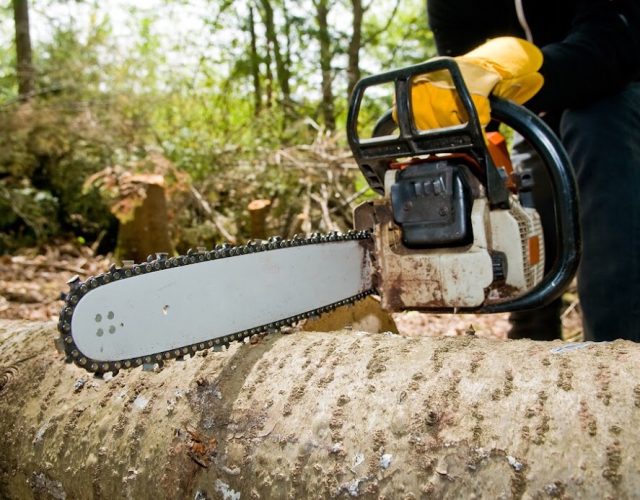 Mansfield Tree Service & Stump Grinding 5