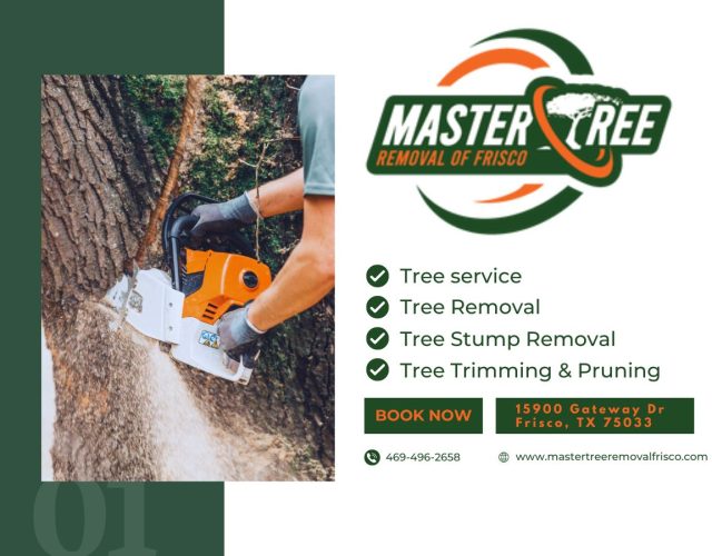 Master Tree Removal of Frisco 3