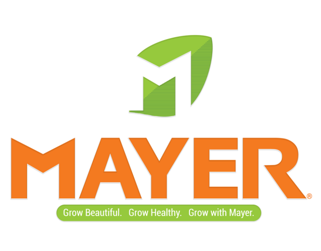 Mayer Materials 4