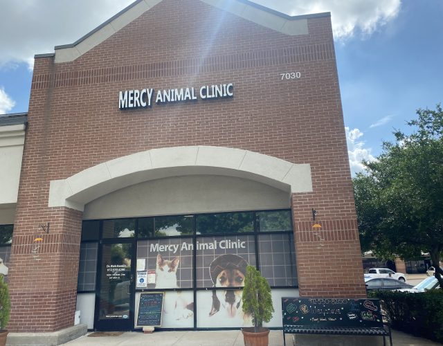 Mercy Animal Clinic 6