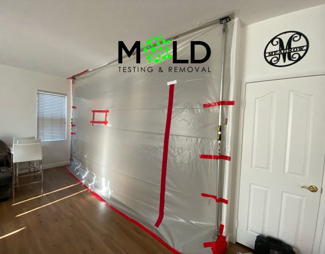 Mold Testing & Mold Removal Services Dallas 3