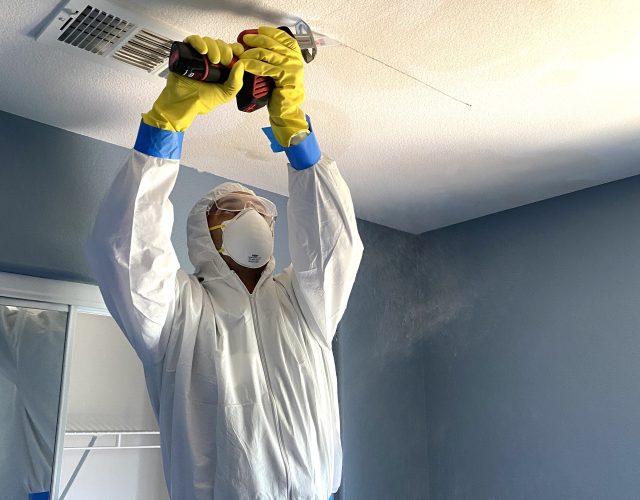 Mold Testing & Mold Removal Services Dallas 4