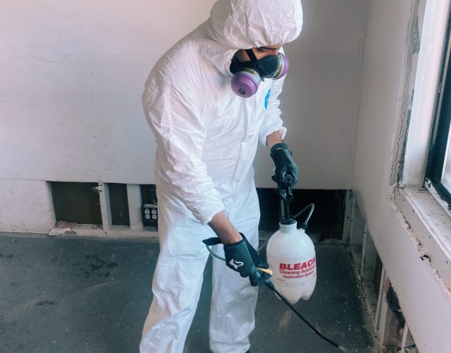 Mold Testing & Mold Removal Services Dallas 5