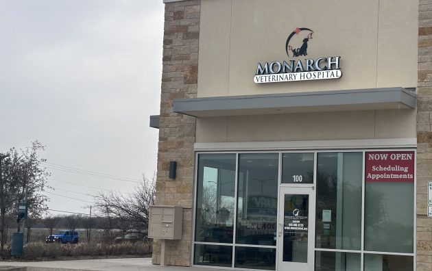 Monarch Veterinary Hospital 6