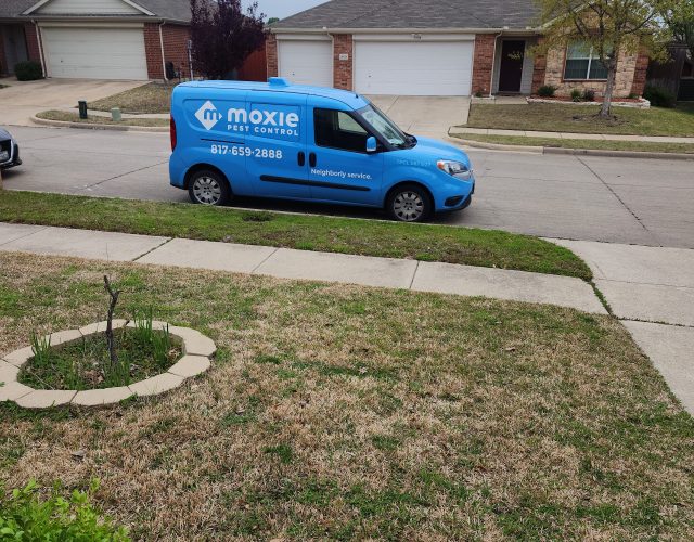 Moxie Pest Control 2