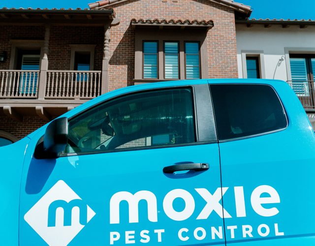 Moxie Pest Control 2