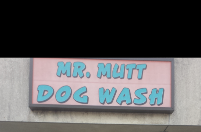 Mr Mutt Dog Wash 5