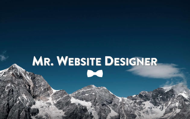 Mr. Website Designer 5