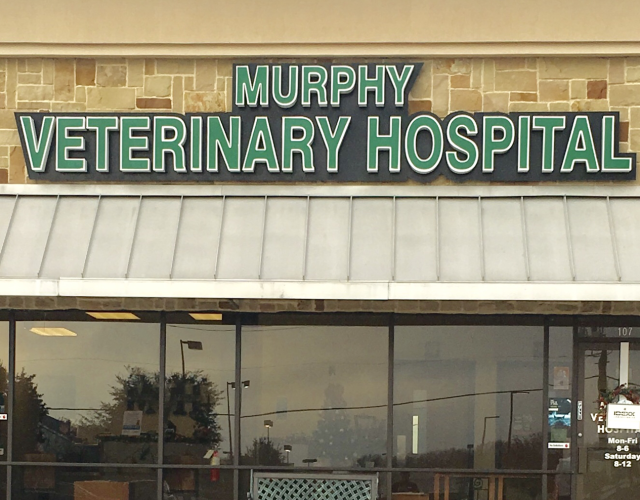 Murphy Veterinary Hospital 3