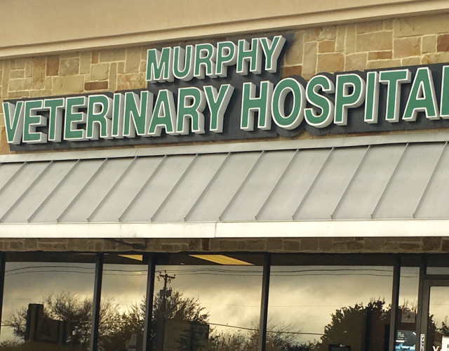 Murphy Veterinary Hospital 5