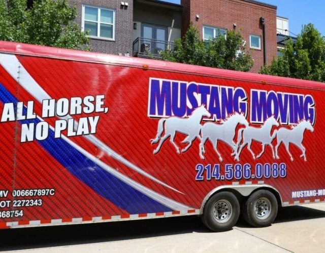 Mustang Moving 4