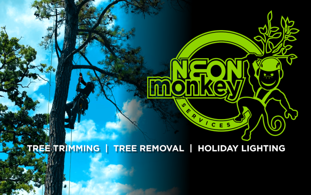 NEON Monkey Services 6