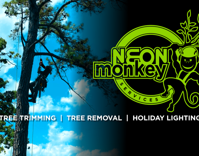 NEON Monkey Services 6